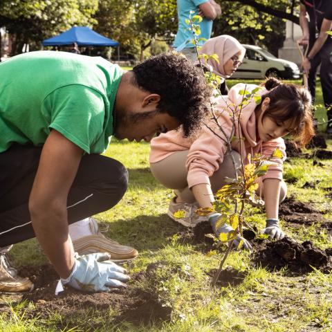 Two people plant trees to create green space in the Ardwick area of Manchester