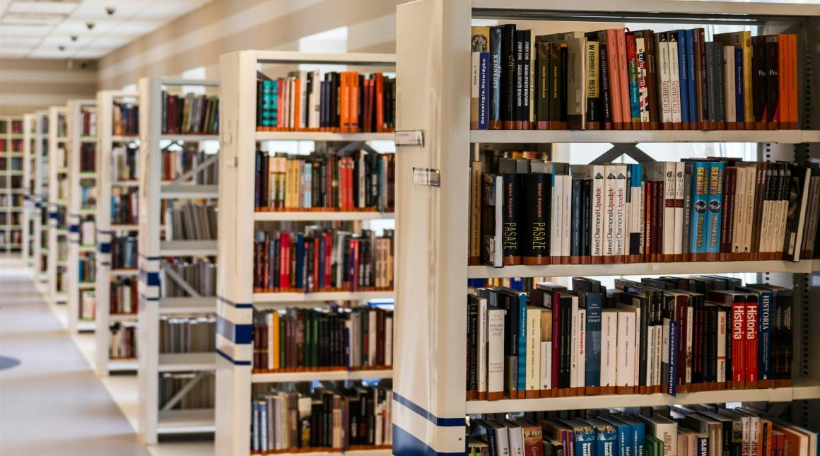 Row of Books in Shelf