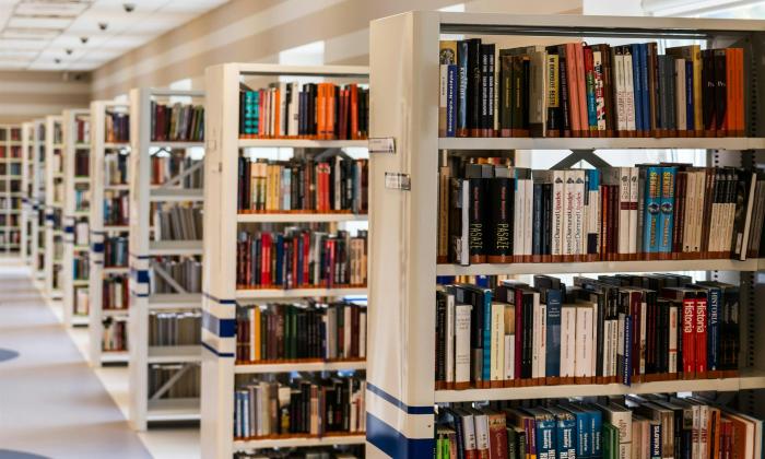 Row of Books in Shelf