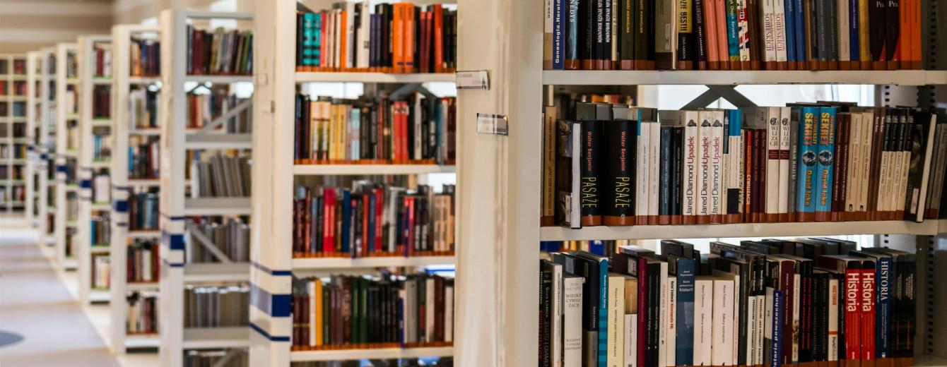 Row of Books in Shelf